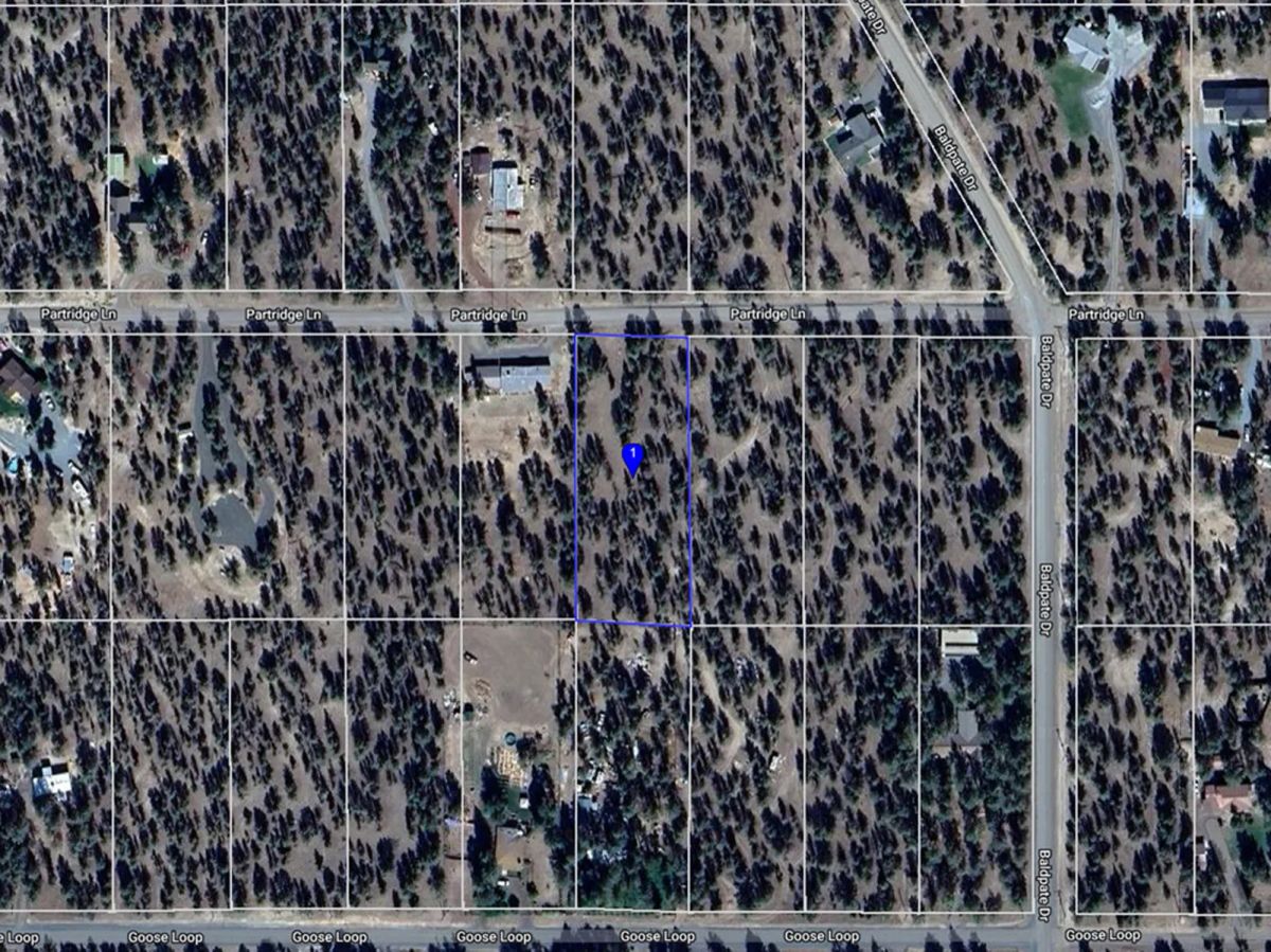 Decorative background for Power at the Street, Nice Gravel Road Access image 23