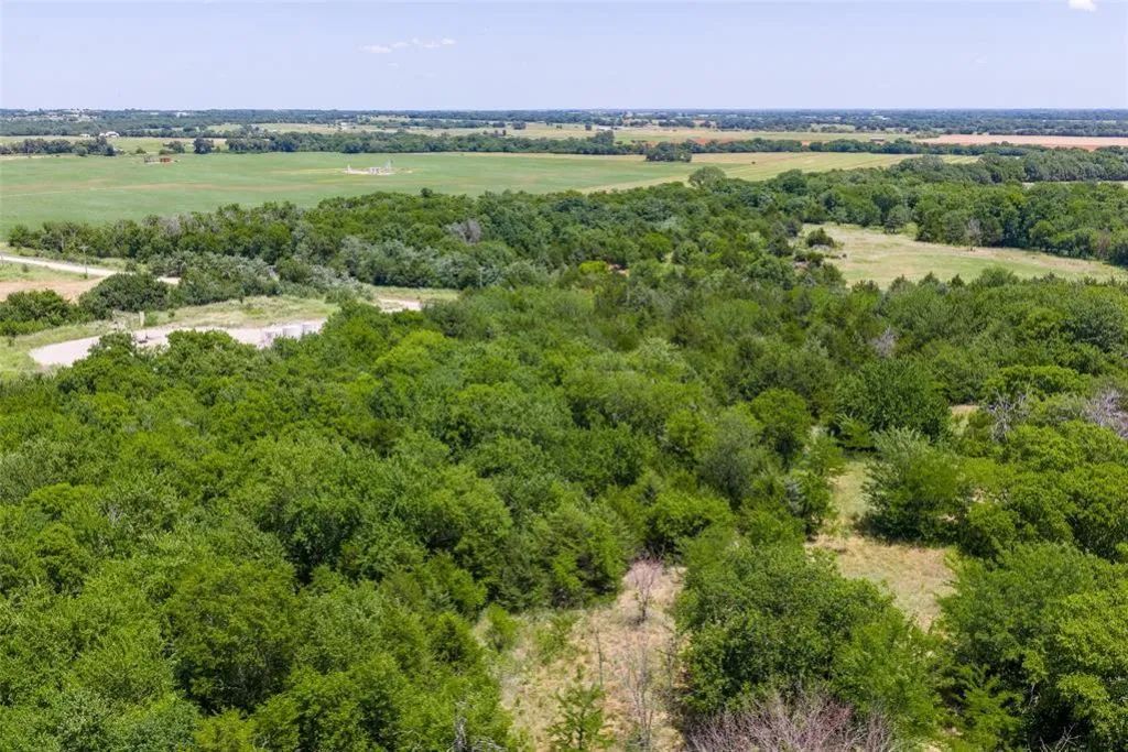 Decorative background for 46.75 Acres in Washington, OK - Pasture, Trees & Pond image 5