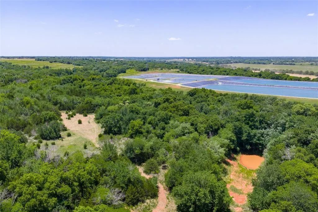 Decorative background for 46.75 Acres in Washington, OK - Pasture, Trees & Pond image 6