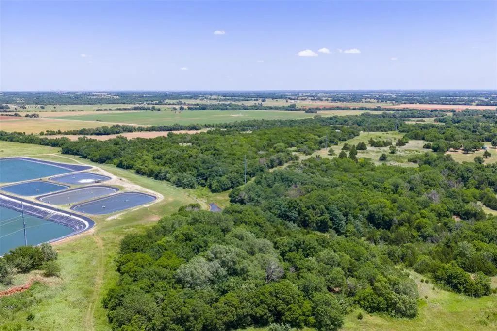 Decorative background for 46.75 Acres in Washington, OK - Pasture, Trees & Pond image 12