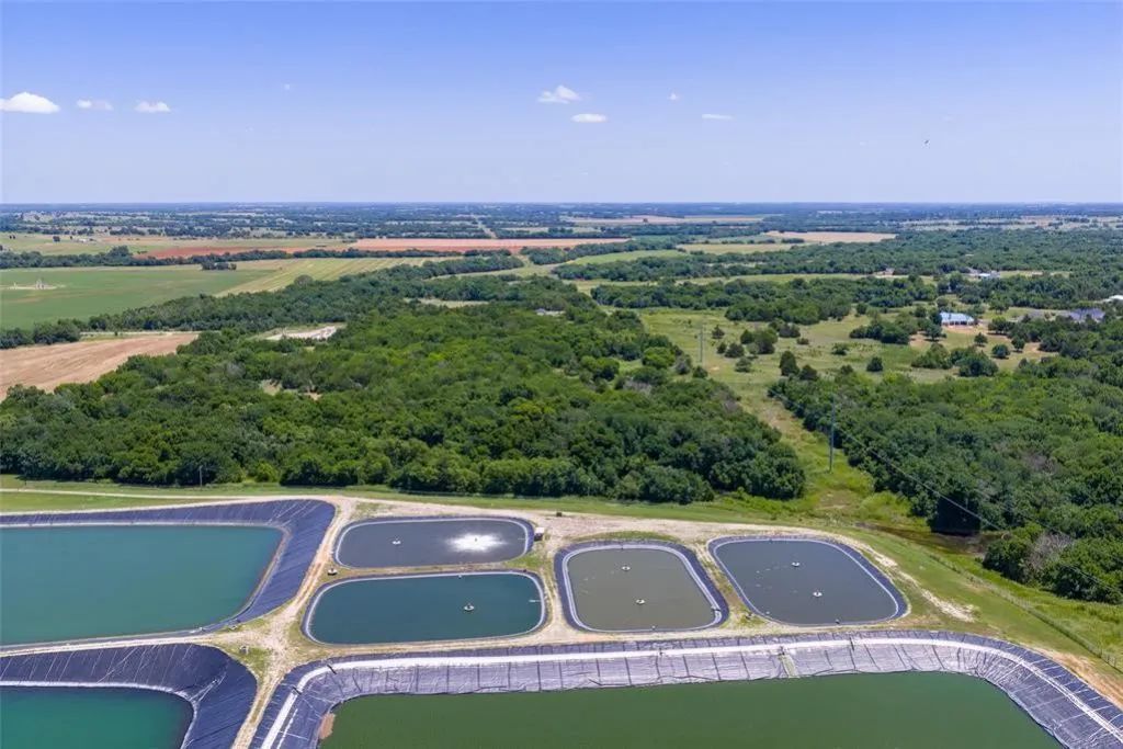 Decorative background for 46.75 Acres in Washington, OK - Pasture, Trees & Pond image 14
