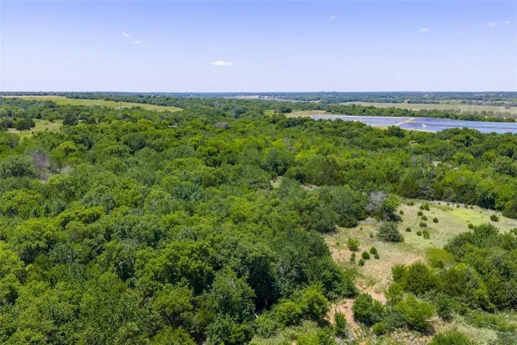 Decorative background for 46.75 Acres in Washington, OK - Pasture, Trees & Pond image 16