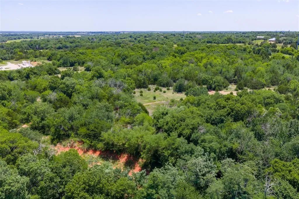 Decorative background for 46.75 Acres in Washington, OK - Pasture, Trees & Pond image 18