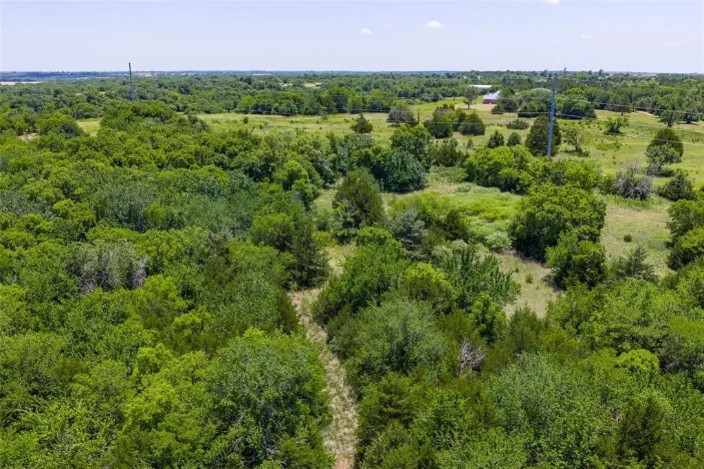 Decorative background for 46.75 Acres in Washington, OK - Pasture, Trees & Pond image 19