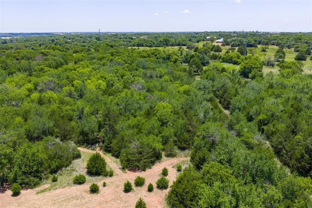 Decorative background for 46.75 Acres in Washington, OK - Pasture, Trees & Pond image 22