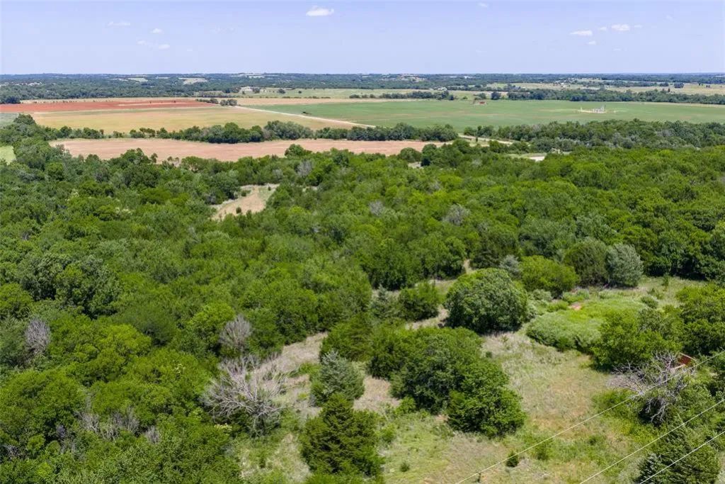 Decorative background for 46.75 Acres in Washington, OK - Pasture, Trees & Pond image 23