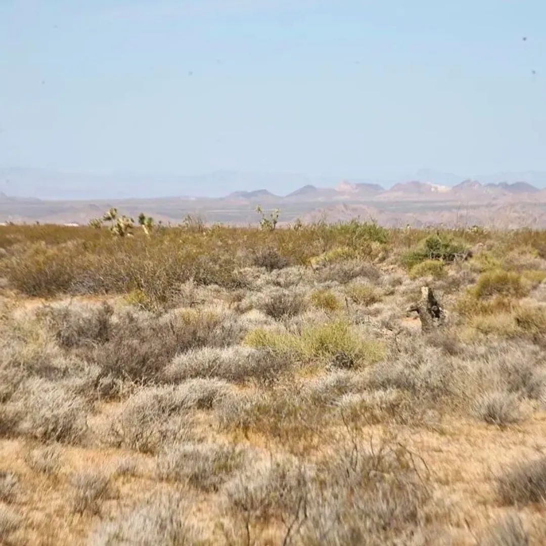 Your Off-Grid Paradise Starts Right Here! in Mohave County, AZ