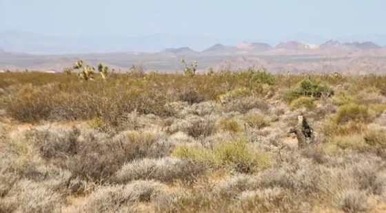 Your Off-Grid Paradise Starts Right Here! in Mohave County, AZ