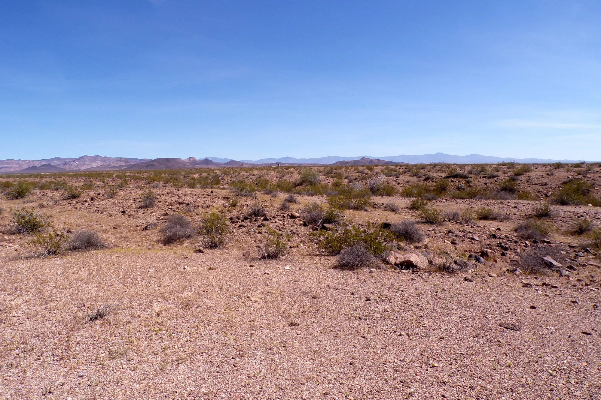 Affordable 1.25-Acre Arizona Land With the Peace & Privacy