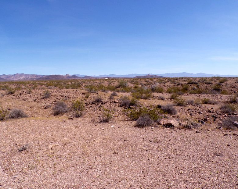 Affordable 1.25-Acre Arizona Land With the Peace & Privacy in Mohave County, AZ