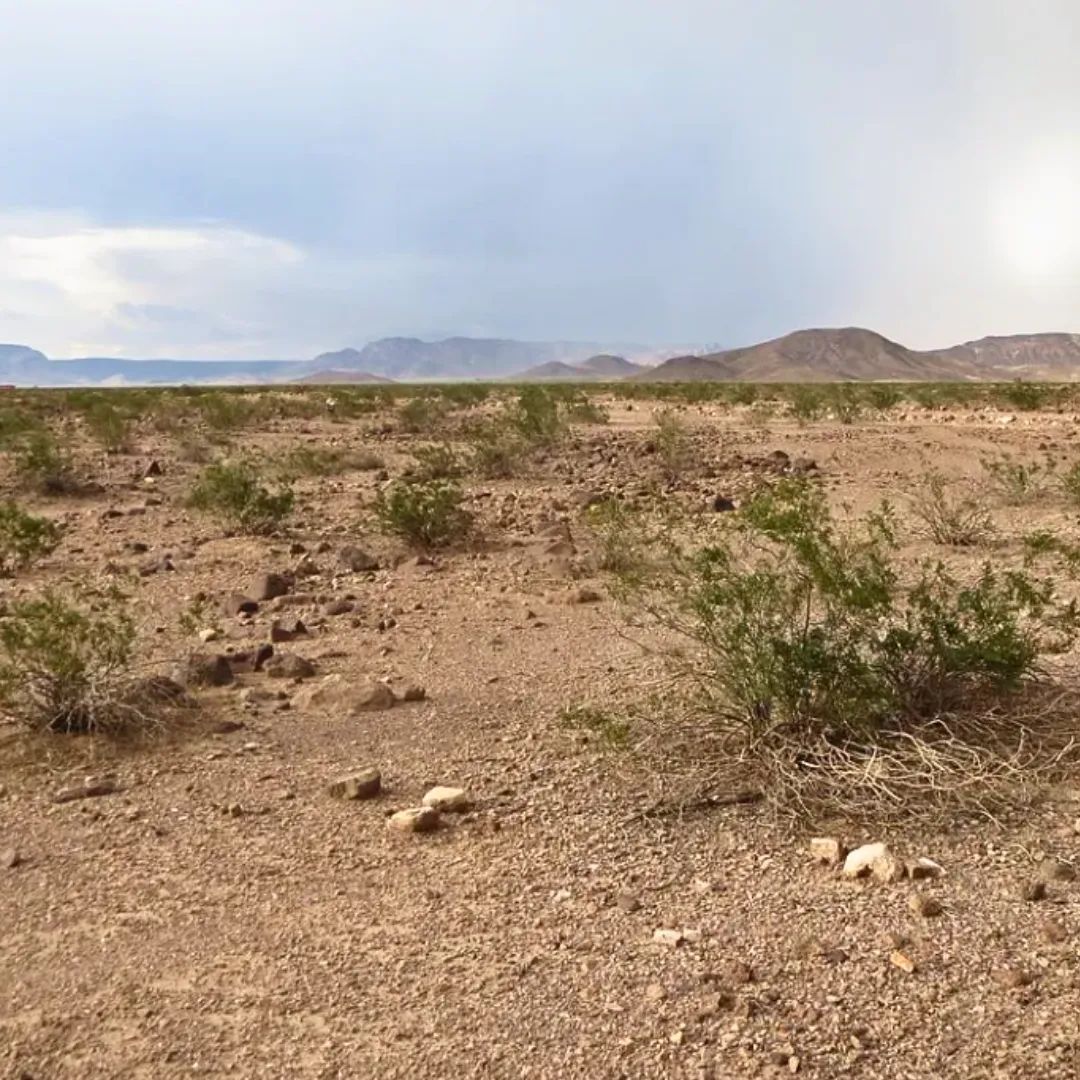 Affordable 1.25-Acre Arizona Land With the Peace & Privacy - Image 2