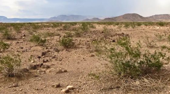 Affordable 1.25-Acre Arizona Land With the Peace & Privacy in Mohave County, AZ