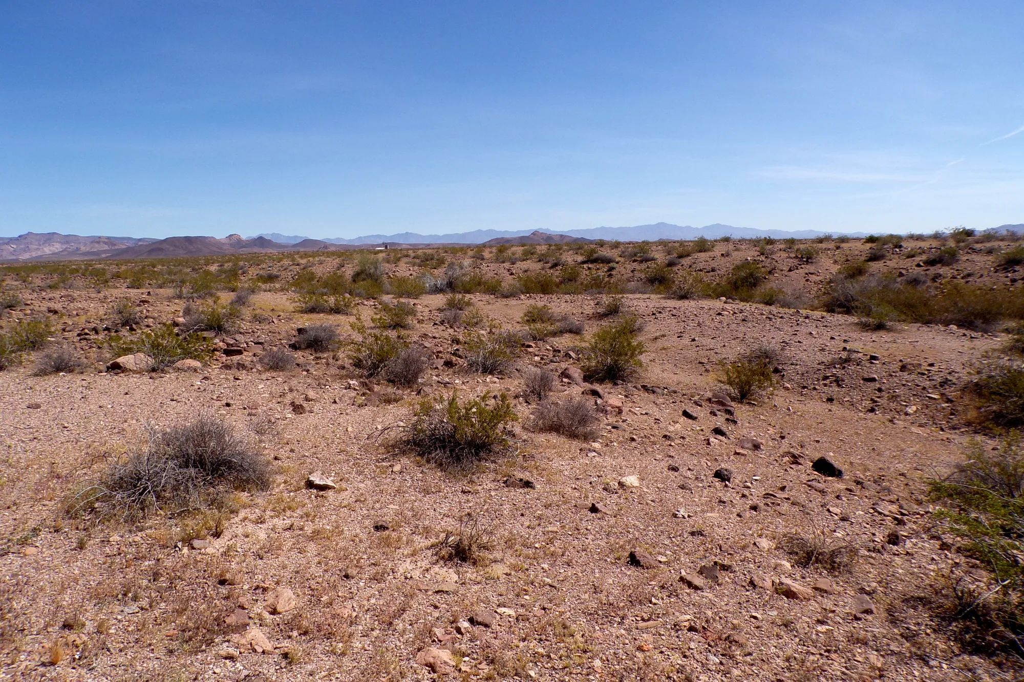 Affordable 1.25-Acre Arizona Land With the Peace & Privacy in Mohave County, AZ