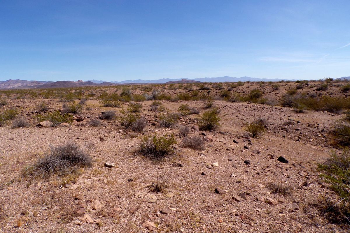 Affordable 1.25-Acre Arizona Land With the Peace & Privacy - Image 4
