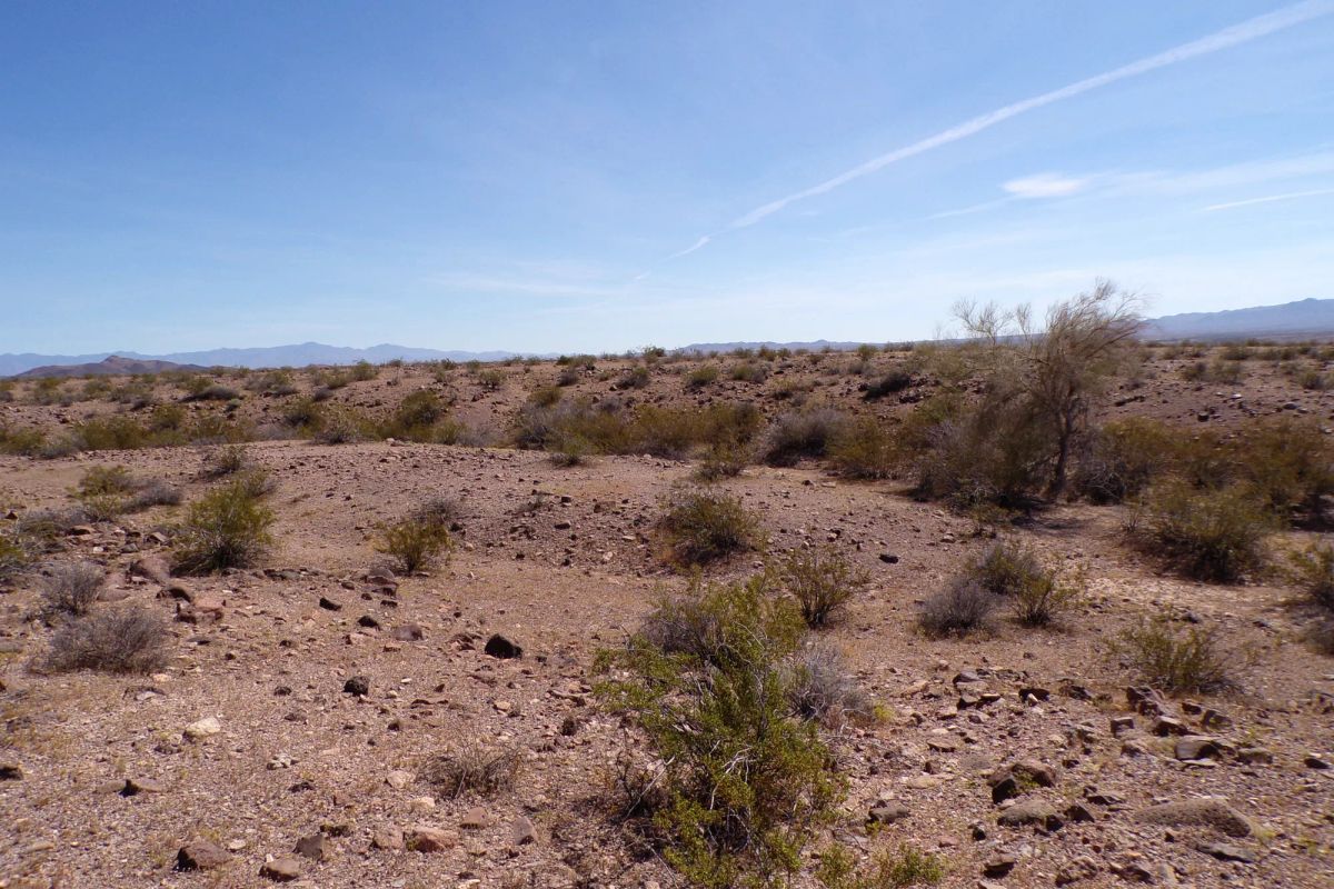 Decorative background for Affordable 1.25-Acre Arizona Land With the Peace & Privacy image 5