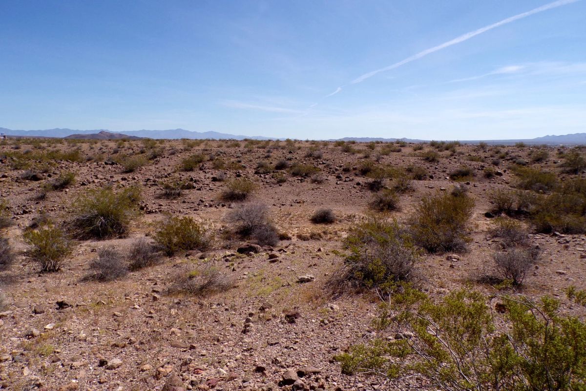 Decorative background for Affordable 1.25-Acre Arizona Land With the Peace & Privacy image 9