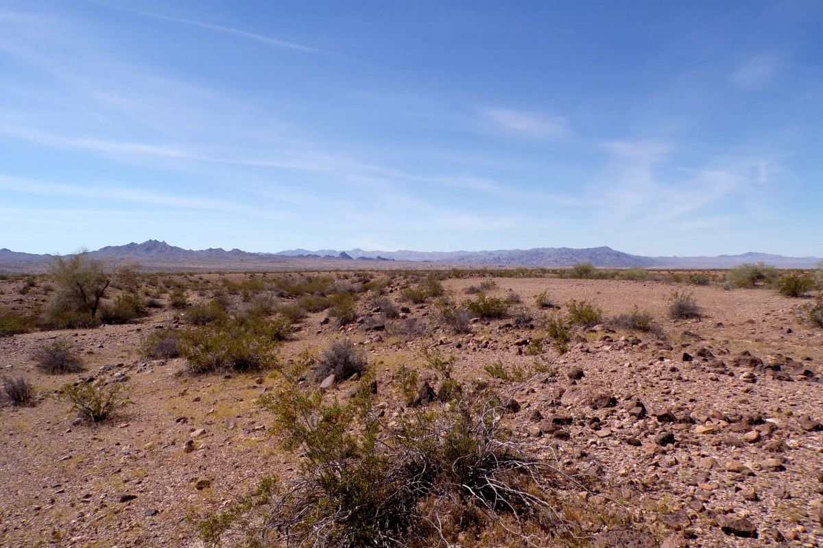 Decorative background for Affordable 1.25-Acre Arizona Land With the Peace & Privacy image 11
