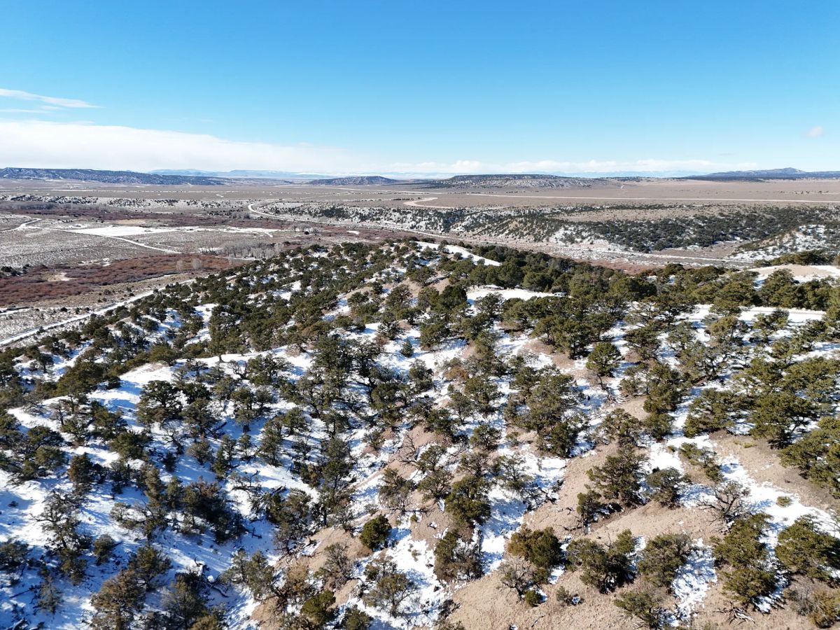 Colorado Dream Property— Build, Camp, Relax on this 5-Acre Lot (With Adjacent Lot Available!) - Main image