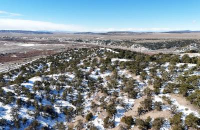 Colorado Dream Property— Build, Camp, Relax on this 5-Acre Lot (With Adjacent Lot Available!)