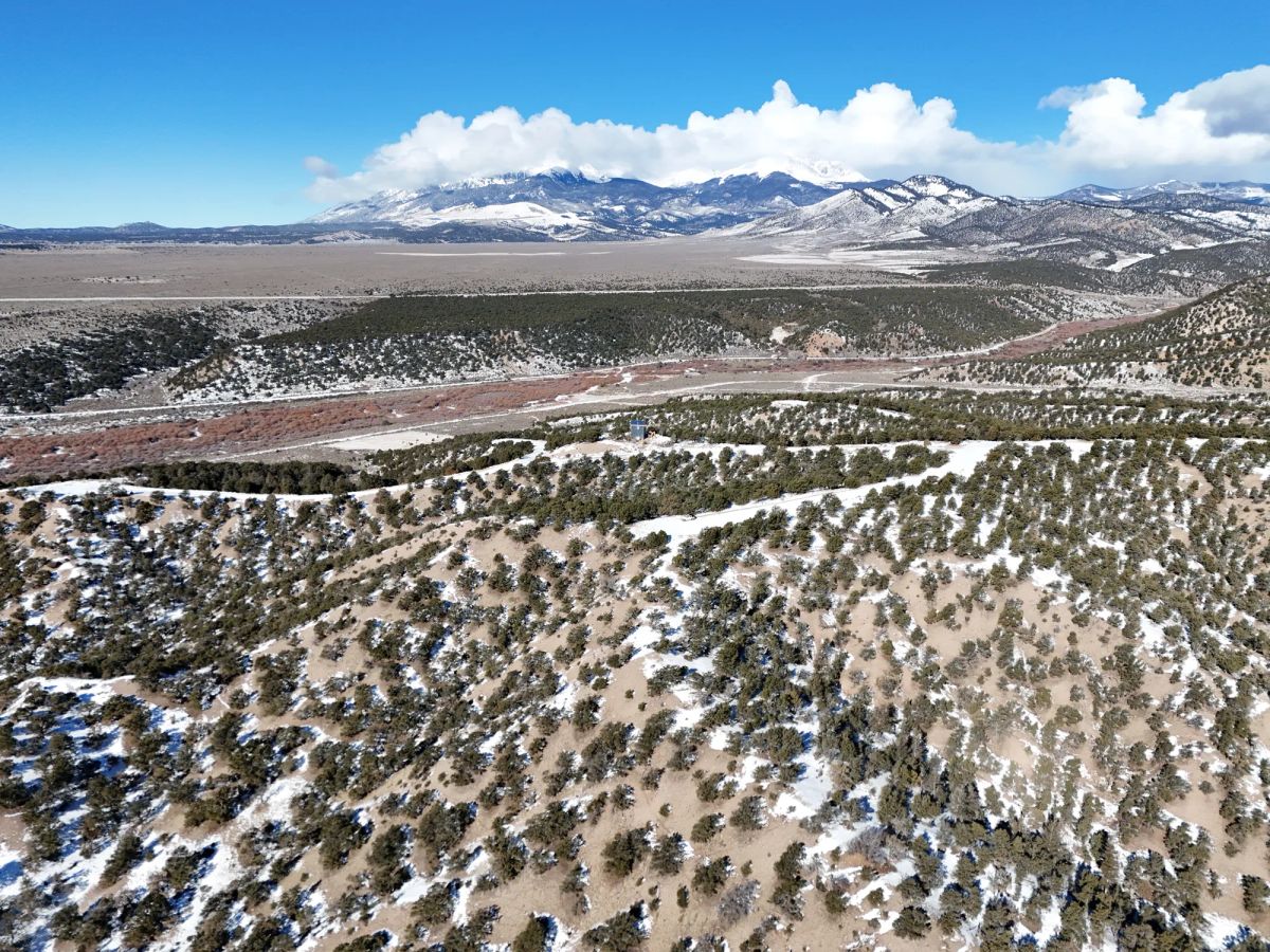 Colorado Dream Property— Build, Camp, Relax on this 5-Acre Lot (With Adjacent Lot Available!) - Image 2