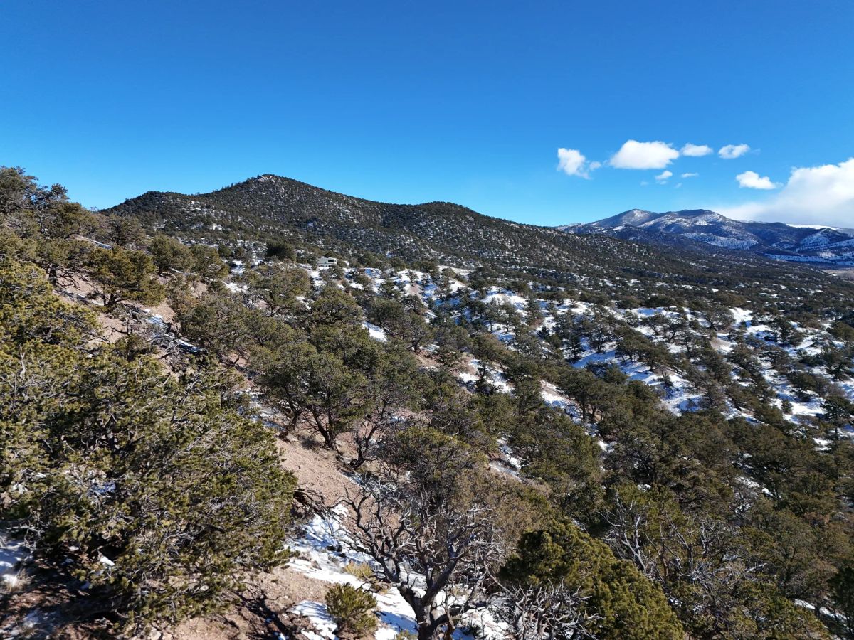 Colorado Dream Property— Build, Camp, Relax on this 5-Acre Lot (With Adjacent Lot Available!) - Image 3