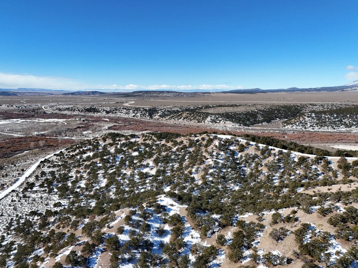 Colorado Dream Property— Build, Camp, Relax on this 5-Acre Lot (With Adjacent Lot Available!) - Image 4
