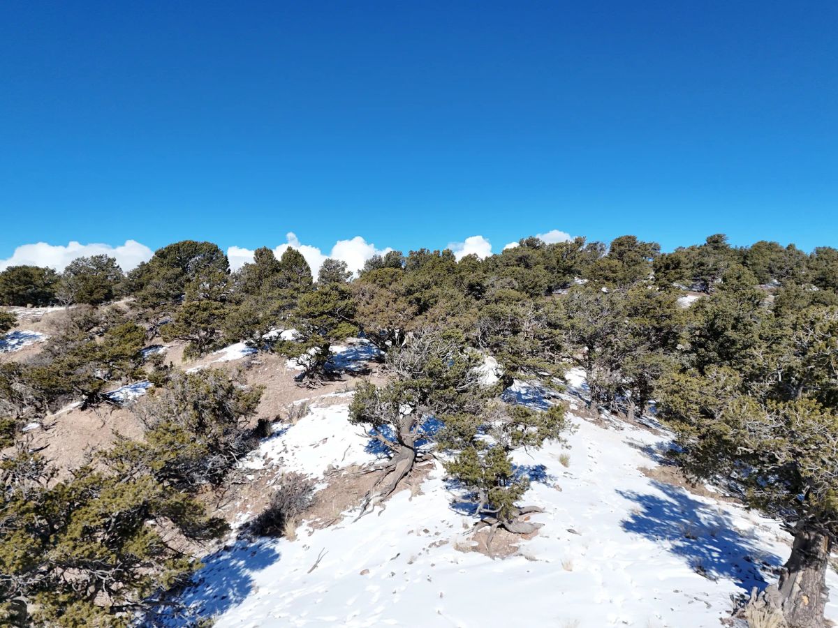 Decorative background for Colorado Dream Property— Build, Camp, Relax on this 5-Acre Lot (With Adjacent Lot Available!) image 5