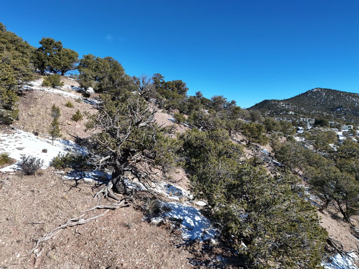 Decorative background for Colorado Dream Property— Build, Camp, Relax on this 5-Acre Lot (With Adjacent Lot Available!) image 6