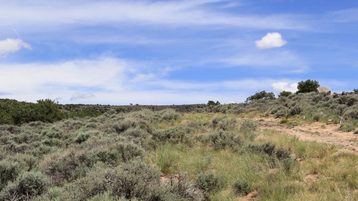 Mountain Views + Open Space = The Perfect 2.53-Acre Colorado Getaway - Main image