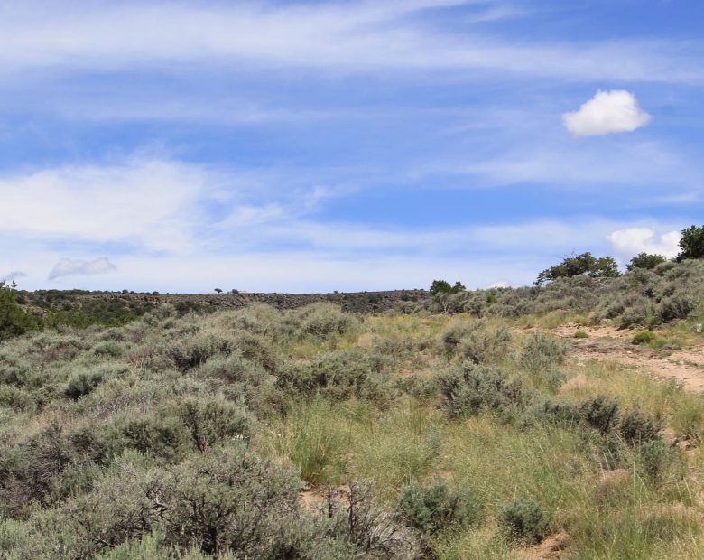 Mountain Views + Open Space = The Perfect 2.53-Acre Colorado Getaway in Costilla County, CO