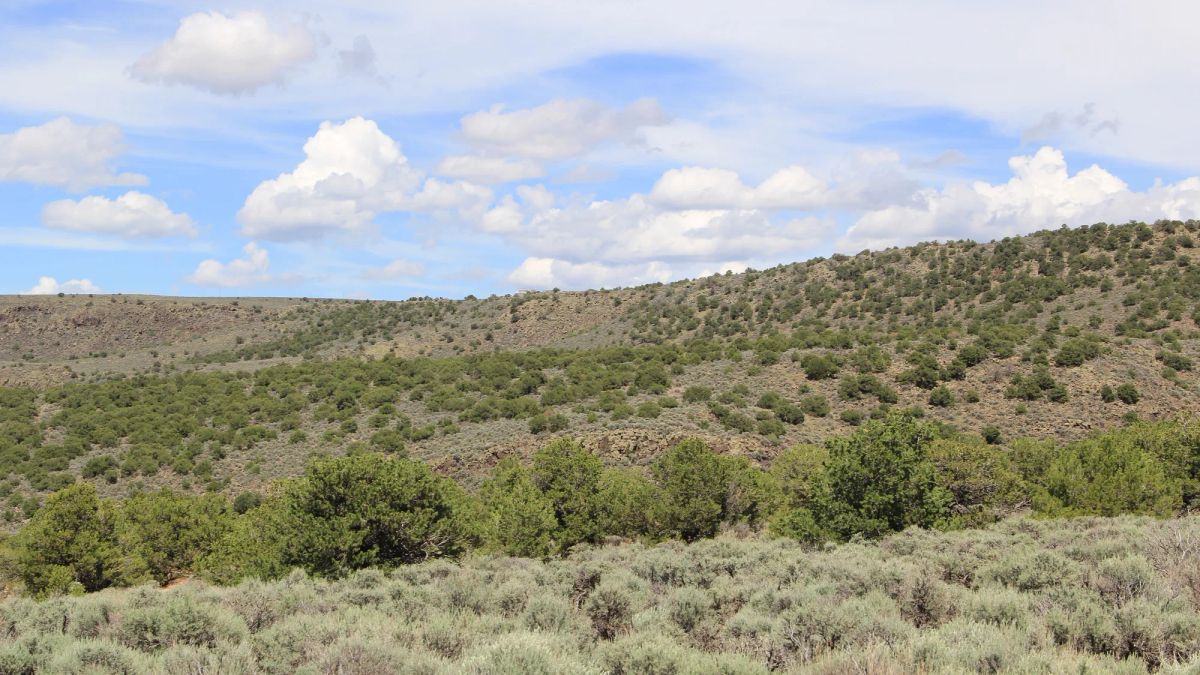 Mountain Views + Open Space = The Perfect 2.53-Acre Colorado Getaway - Image 2