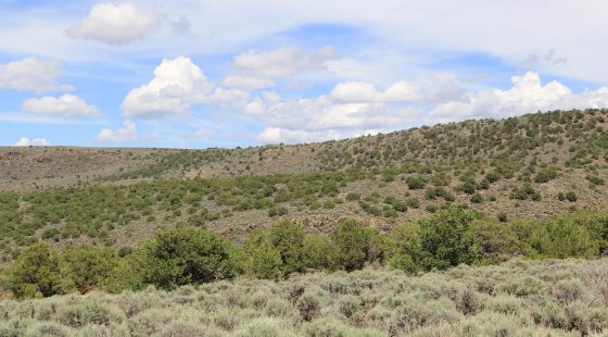 Mountain Views + Open Space = The Perfect 2.53-Acre Colorado Getaway in Costilla County, CO
