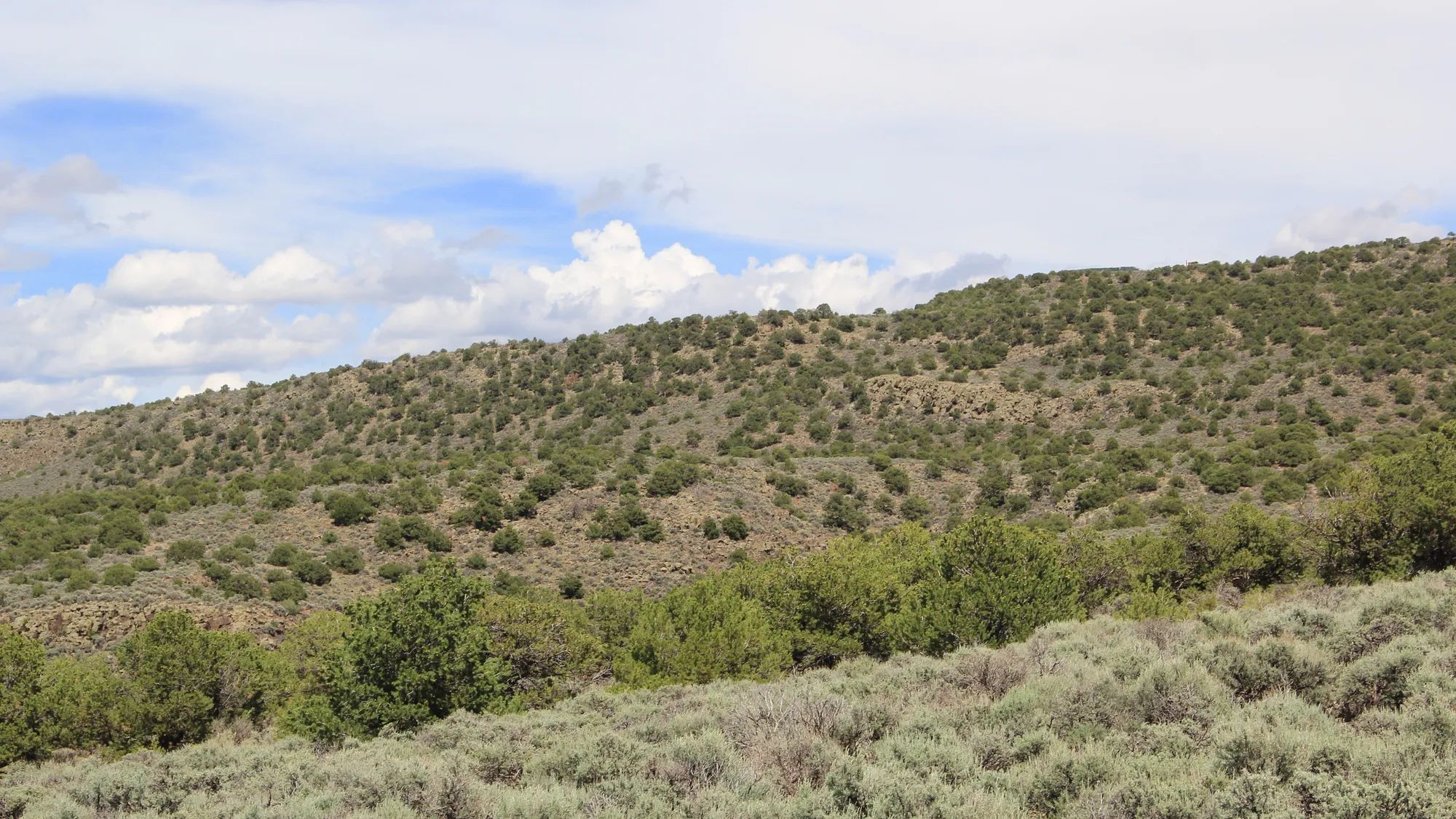 Mountain Views + Open Space = The Perfect 2.53-Acre Colorado Getaway in Costilla County, CO