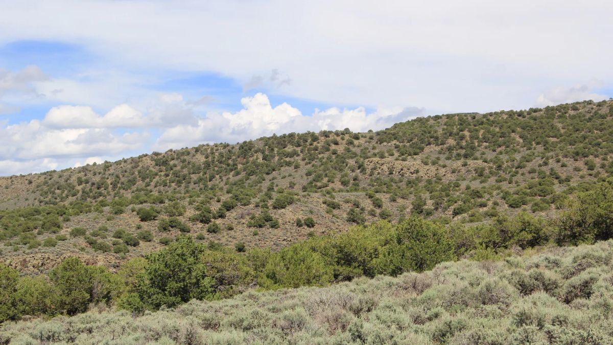 Mountain Views + Open Space = The Perfect 2.53-Acre Colorado Getaway - Image 4