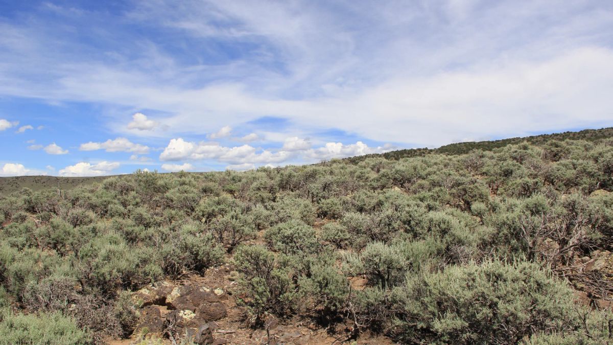 Decorative background for Mountain Views + Open Space = The Perfect 2.53-Acre Colorado Getaway image 5