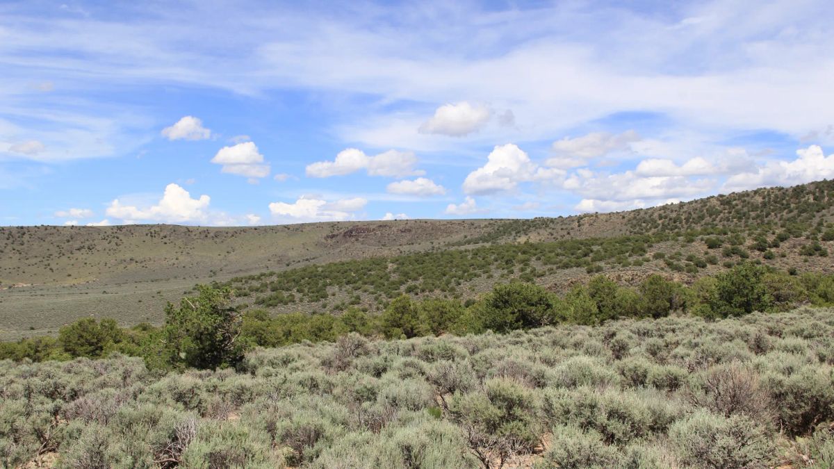 Decorative background for Mountain Views + Open Space = The Perfect 2.53-Acre Colorado Getaway image 6