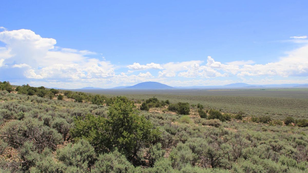 Decorative background for Mountain Views + Open Space = The Perfect 2.53-Acre Colorado Getaway image 8