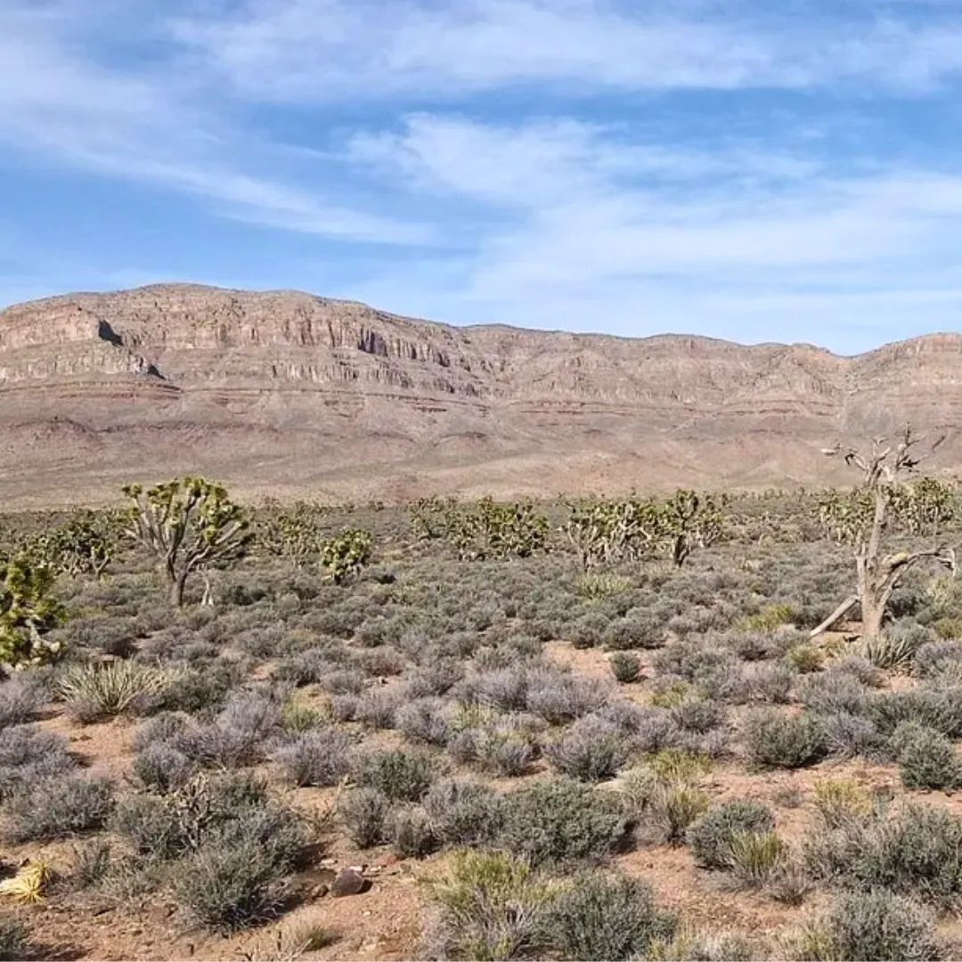 A Perfect Place To Live Your Off-Grid Dream! - Main image