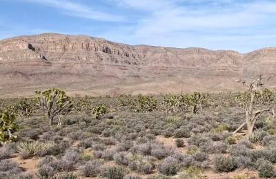A Perfect Place To Live Your Off-Grid Dream!