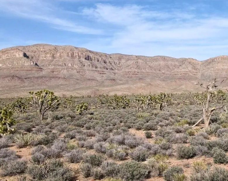 A Perfect Place To Live Your Off-Grid Dream! in Mohave County, AZ