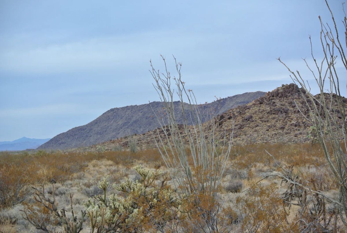 A Perfect Place To Live Your Off-Grid Dream! - Image 2
