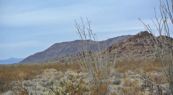 A Perfect Place To Live Your Off-Grid Dream! in Mohave County, AZ