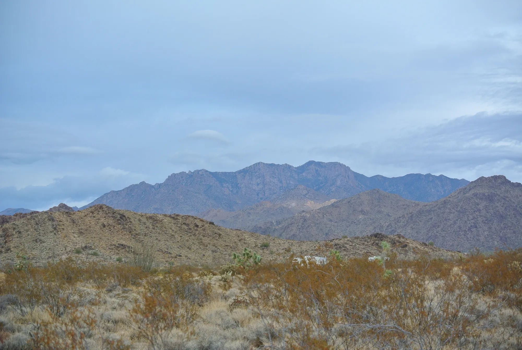 A Perfect Place To Live Your Off-Grid Dream! in Mohave County, AZ