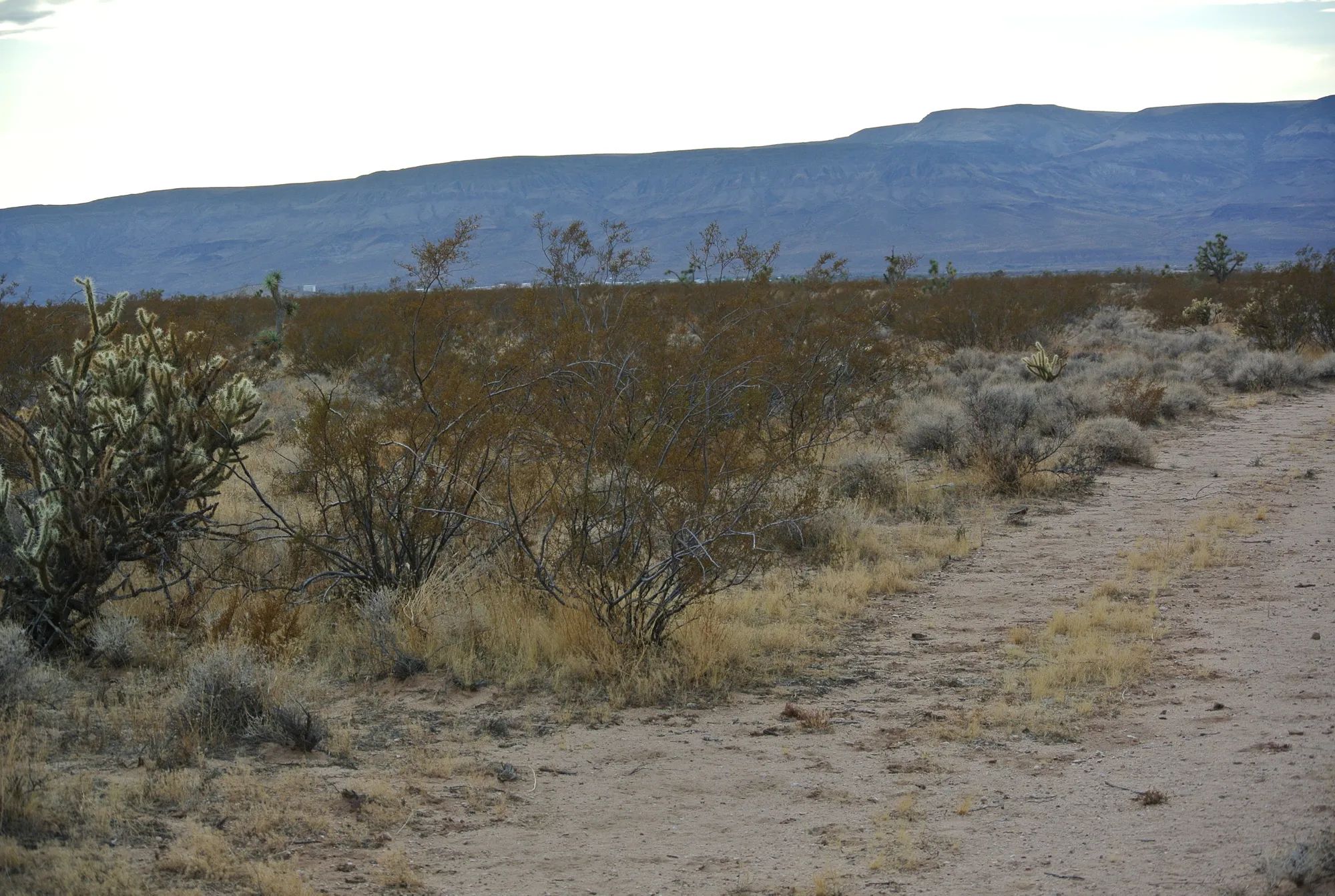 A Perfect Place To Live Your Off-Grid Dream! in Mohave County, AZ