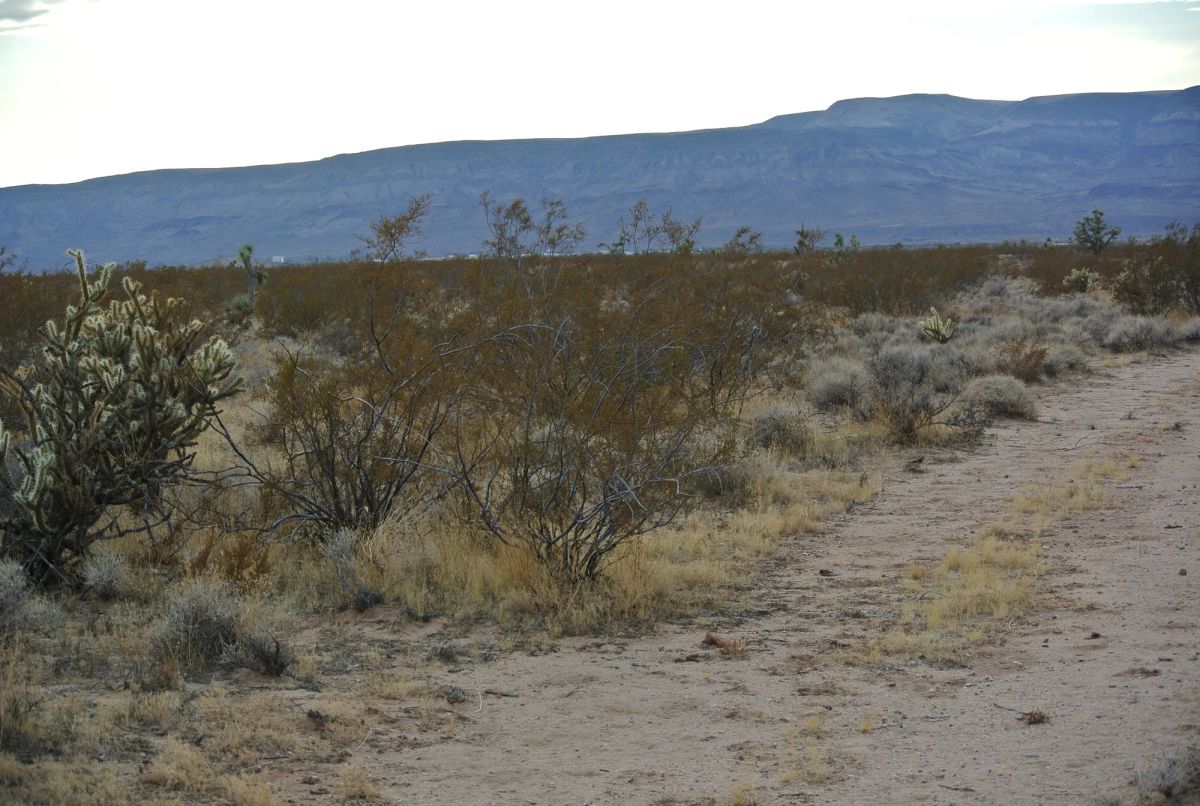 A Perfect Place To Live Your Off-Grid Dream! - Image 4