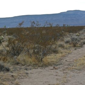 A Perfect Place To Live Your Off-Grid Dream! in Mohave County, AZ