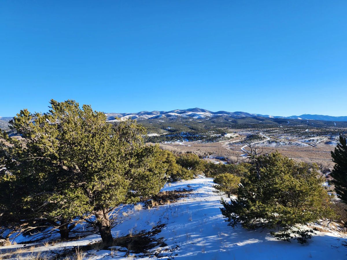 5 Acres With Direct Road Access (With Adjacent Lot Available!) - Main image