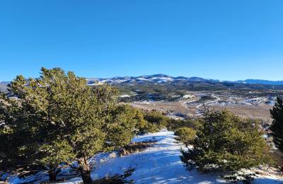 5 Acres With Direct Road Access (With Adjacent Lot Available!)