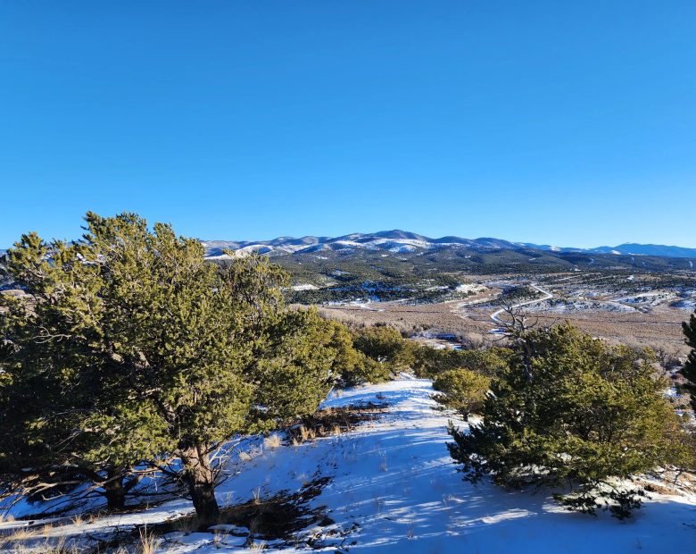 5 Acres With Direct Road Access (With Adjacent Lot Available!) in Costilla County, CO
