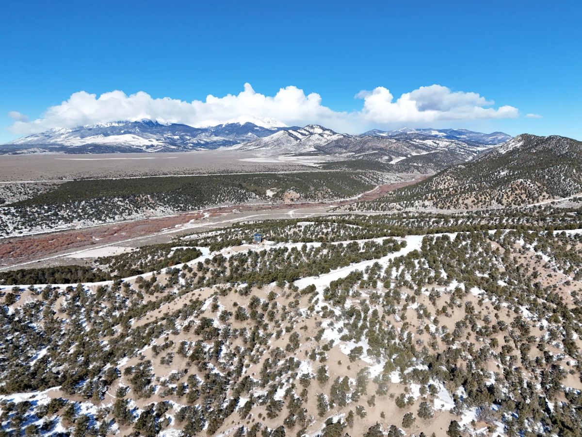 5 Acres With Direct Road Access (With Adjacent Lot Available!) - Image 3